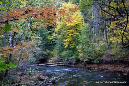 Fall On the Clear Fork
